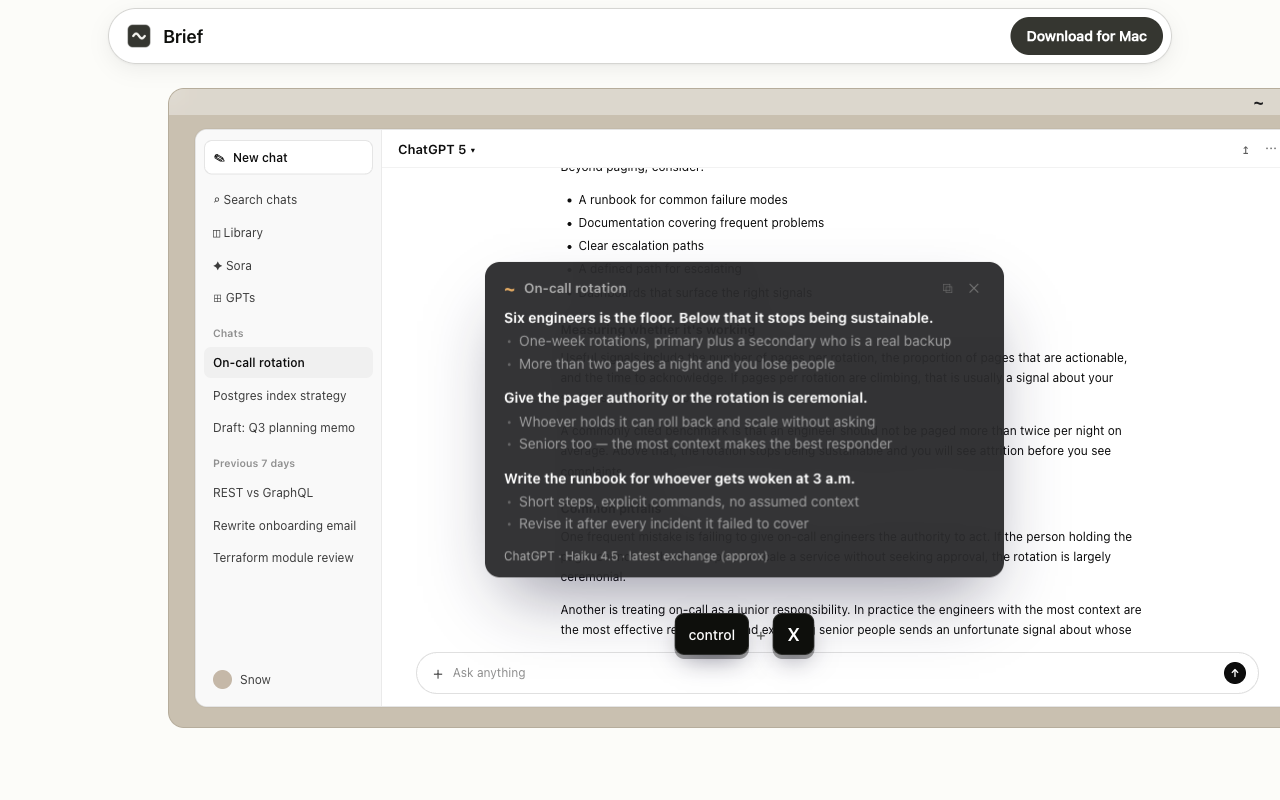 Brief screenshot 2